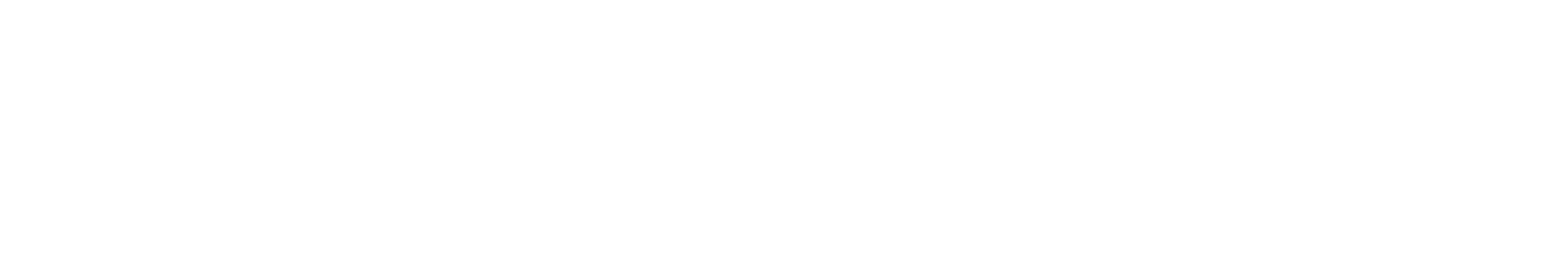 Idraulico Pisa